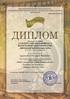 Дипломы Всероссийского конкурса «Молодой фотограф года» - изображение 3