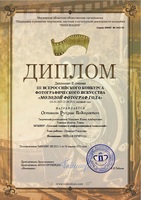Дипломы Всероссийского конкурса «Молодой фотограф года» - изображение 0